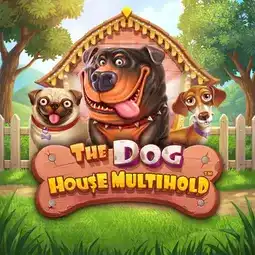 The Dog House Multihold game at WildCardCity Casino for Australian players The Dog House Multihold game at WildCardCity Casino for Australian players